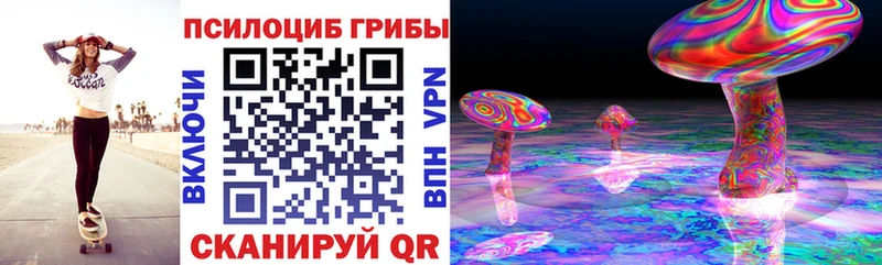 где купить Волчанск blacksprut зеркало Псилоцибиновые грибы Magic Shrooms